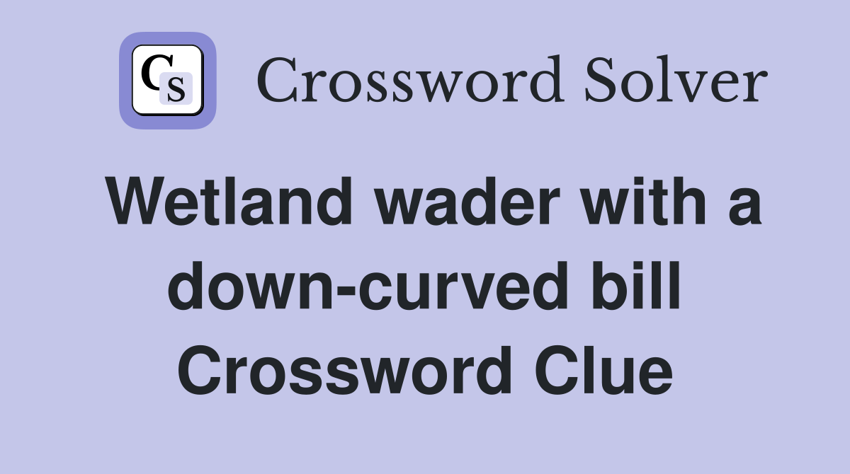 Wetland wader with a down-curved bill Crossword Clue