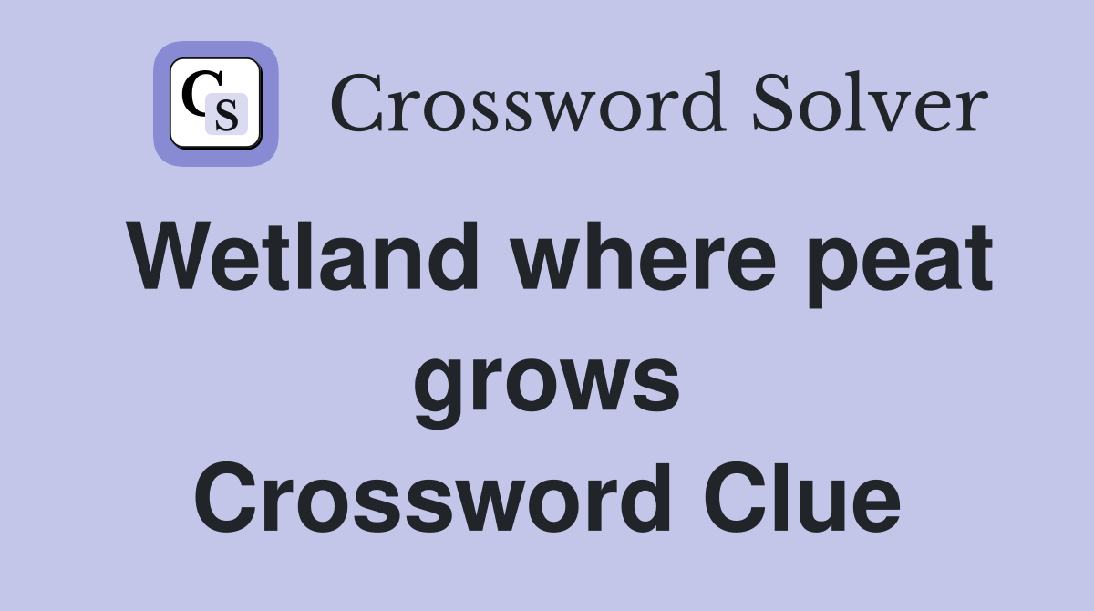 Wetland where peat grows Crossword Clue