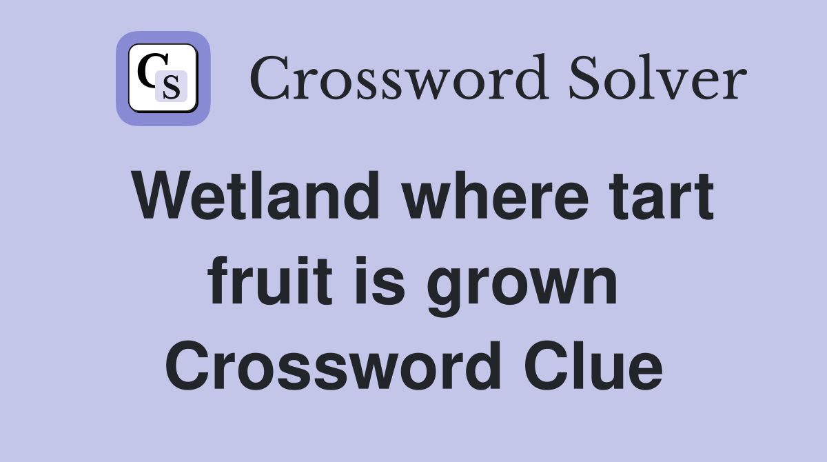 Wetland where tart fruit is grown Crossword Clue