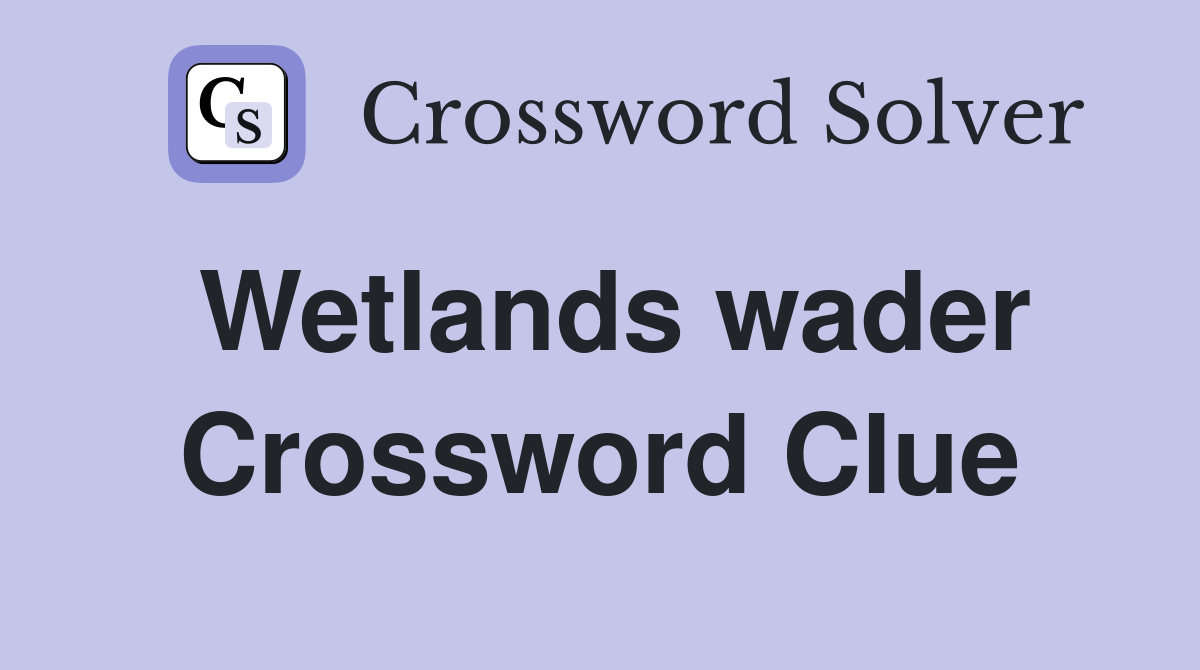 Wetlands wader Crossword Clue