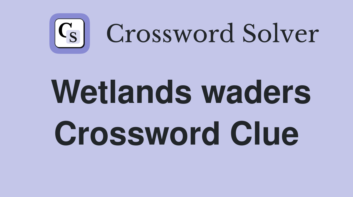 Wetlands waders Crossword Clue