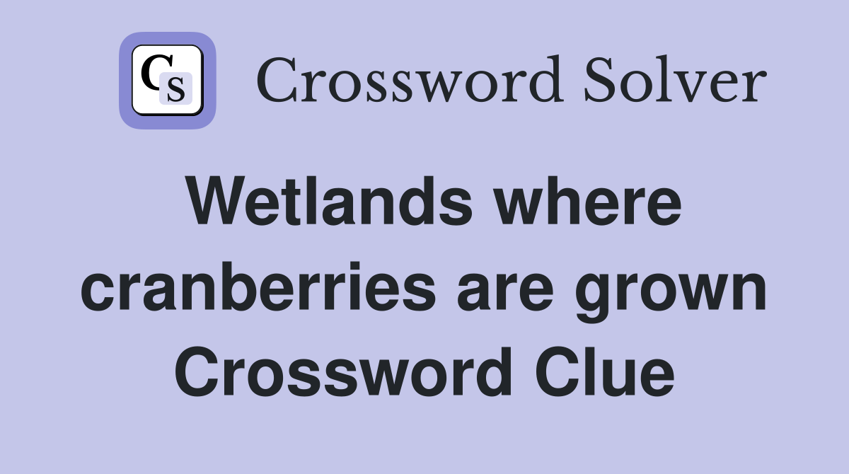 Wetlands where cranberries are grown Crossword Clue