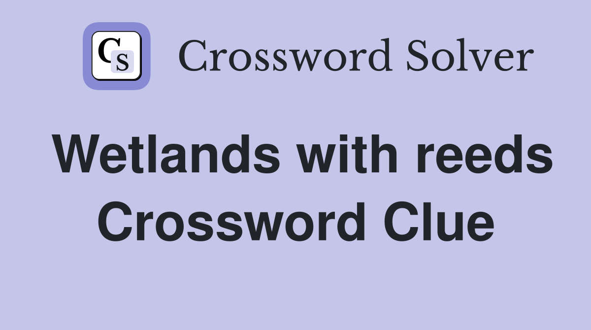 Wetlands with reeds Crossword Clue