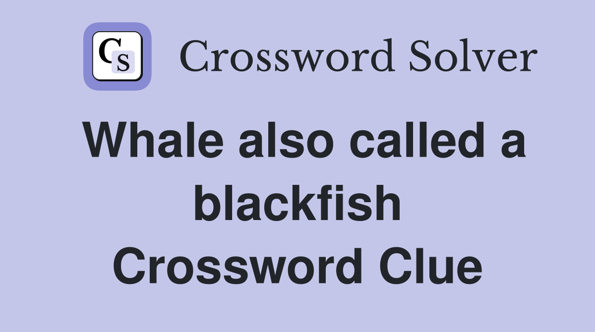 Whale also called a blackfish Crossword Clue