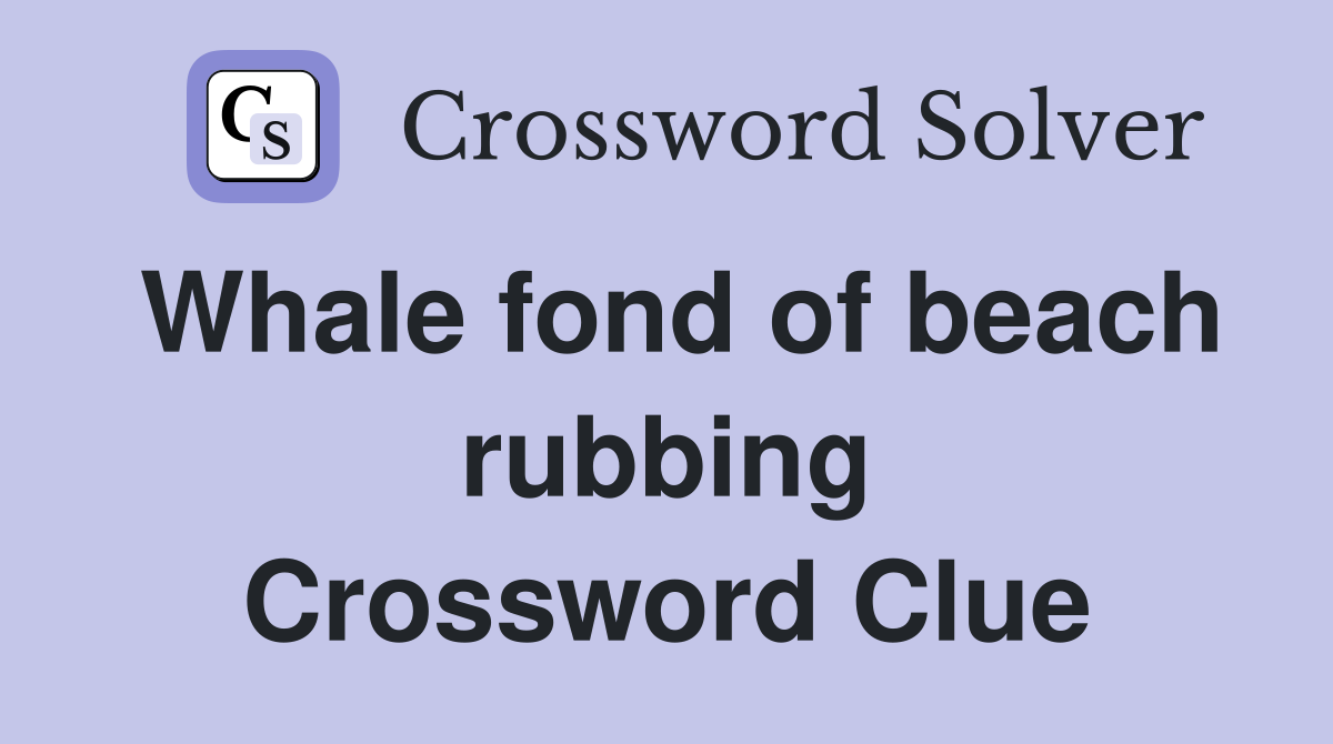 Whale fond of beach rubbing Crossword Clue