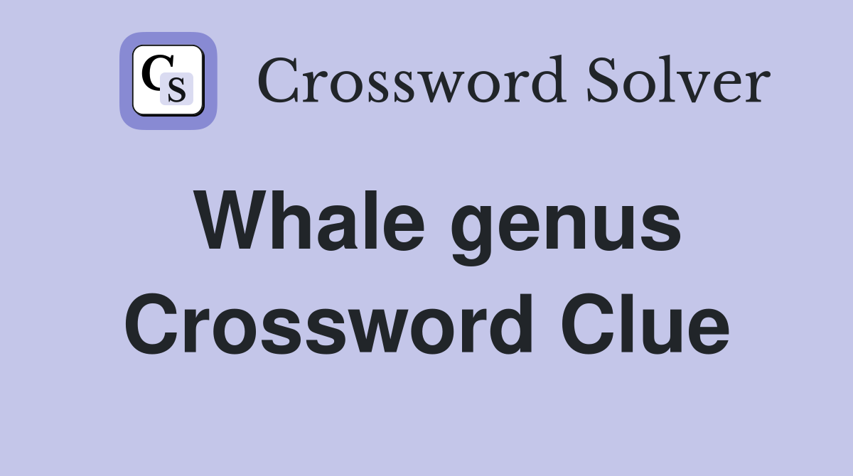 Whale genus Crossword Clue