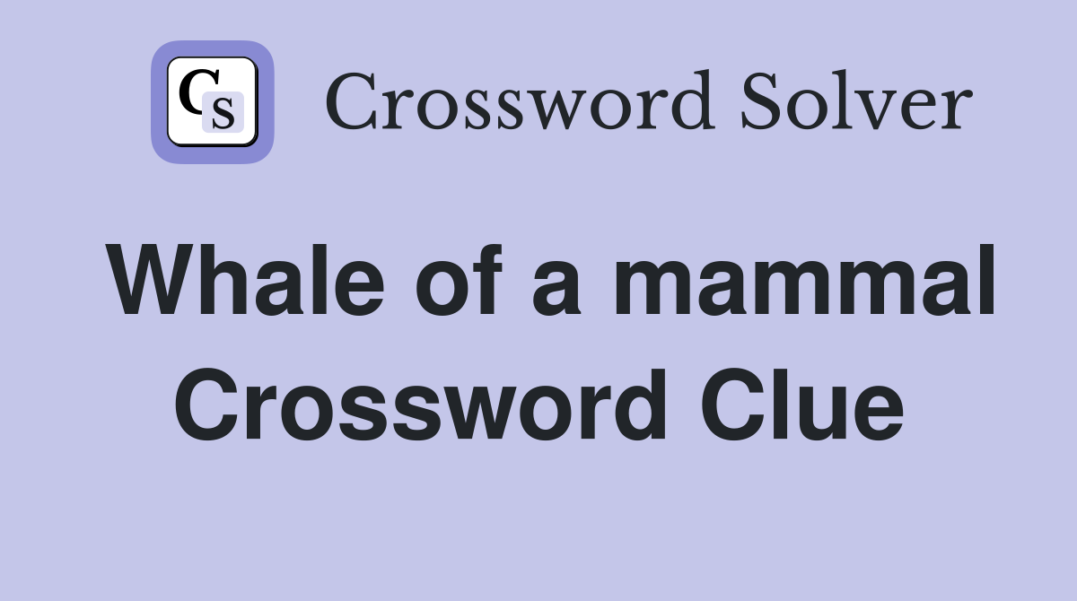 Whale of a mammal Crossword Clue