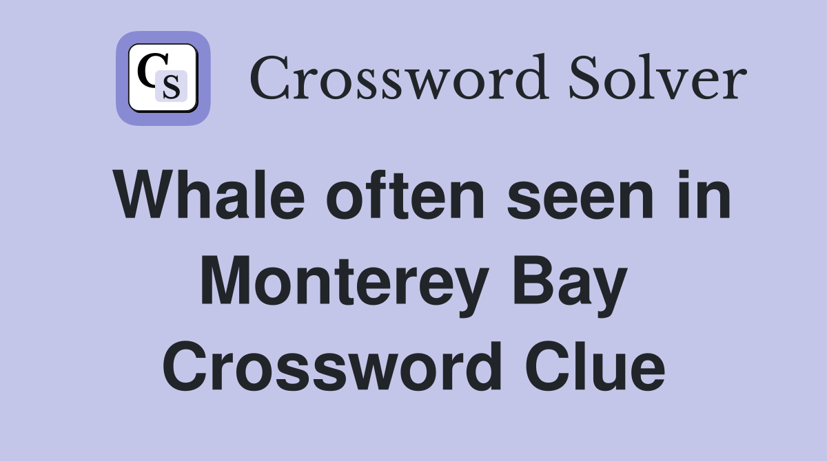 Whale often seen in Monterey Bay Crossword Clue