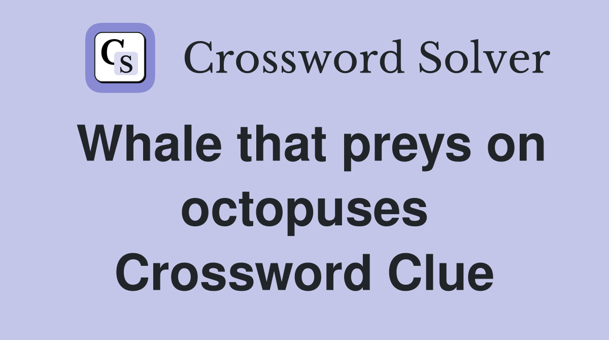 Whale that preys on octopuses Crossword Clue