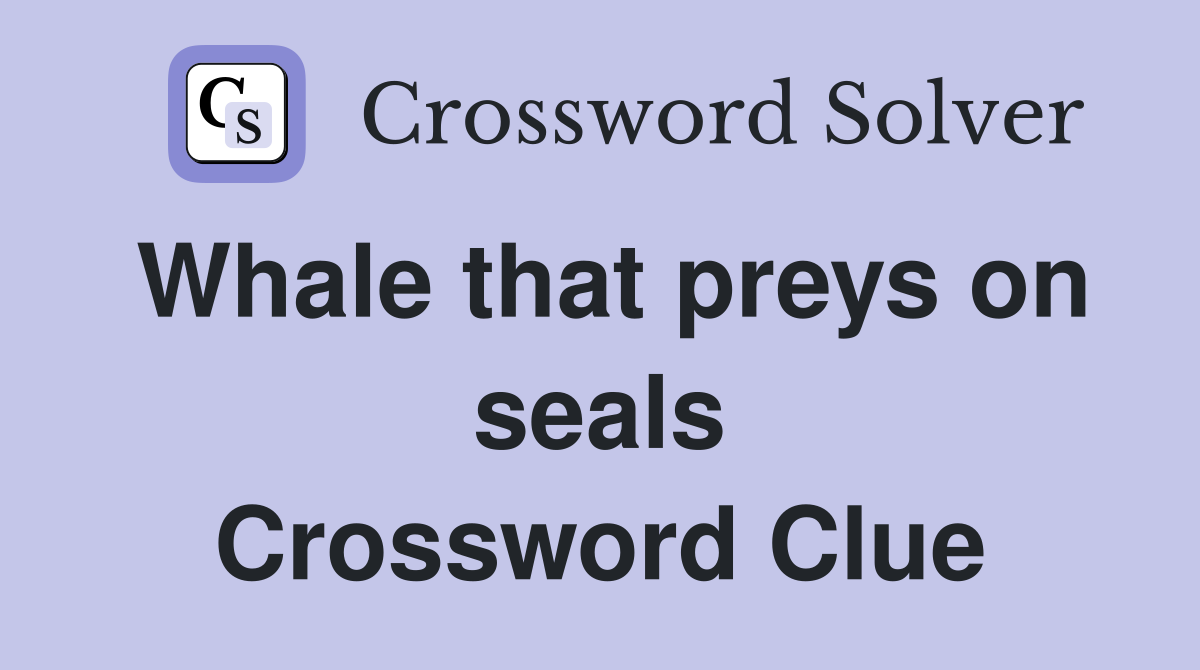 Whale that preys on seals Crossword Clue