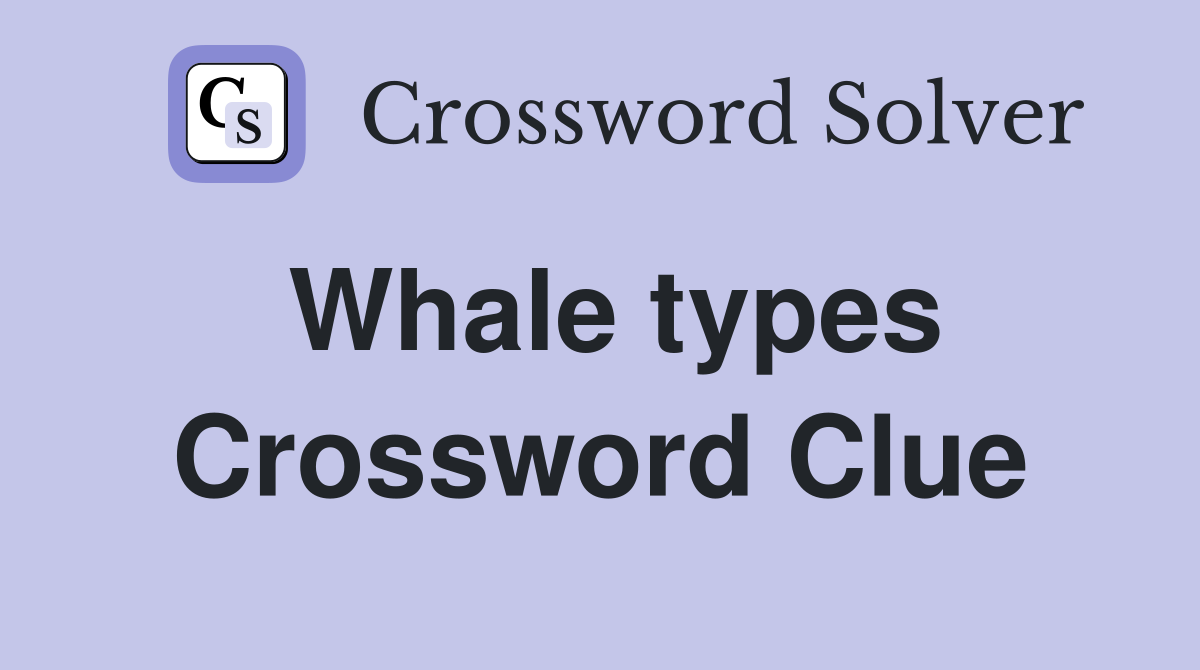 Whale types Crossword Clue