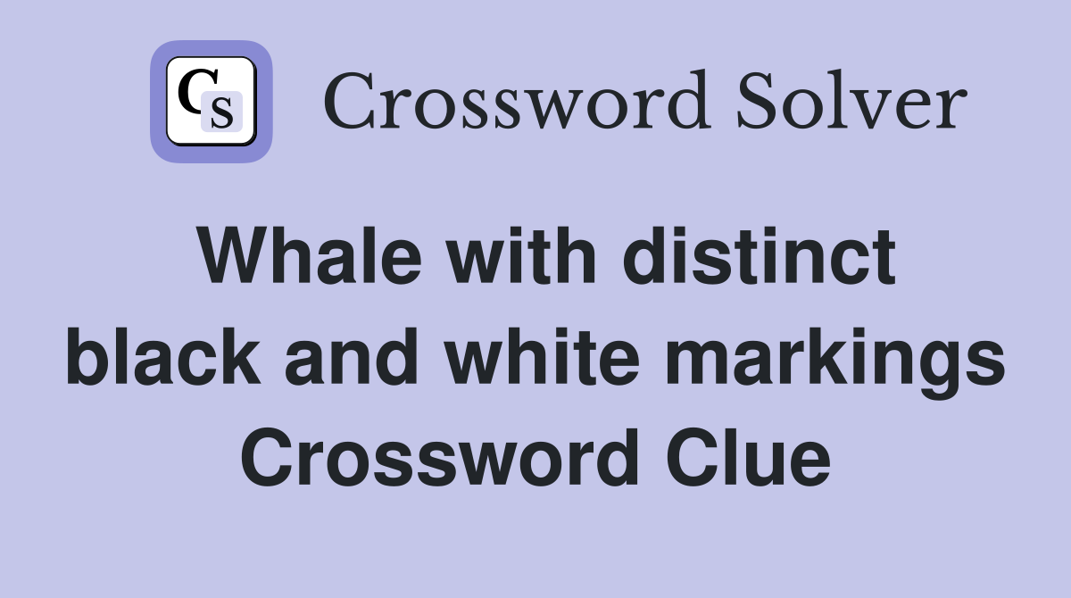 Whale with distinct black and white markings Crossword Clue