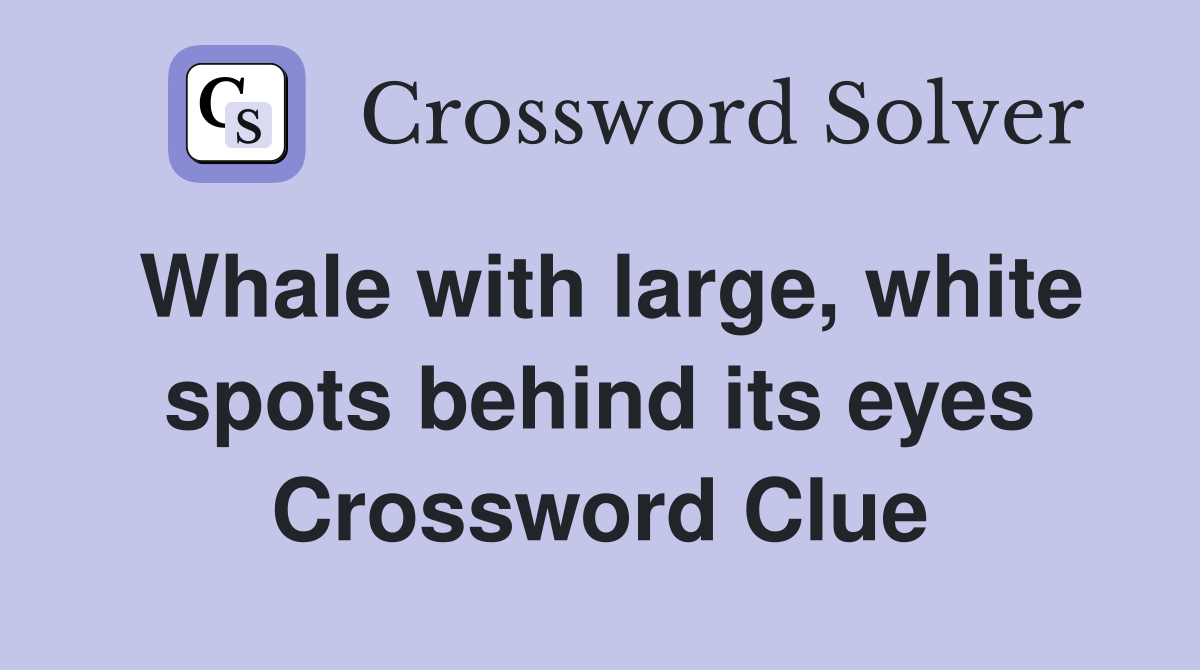 Whale with large, white spots behind its eyes Crossword Clue