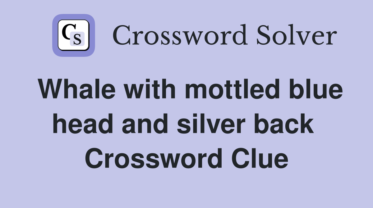 Whale with mottled blue head and silver back  Crossword Clue
