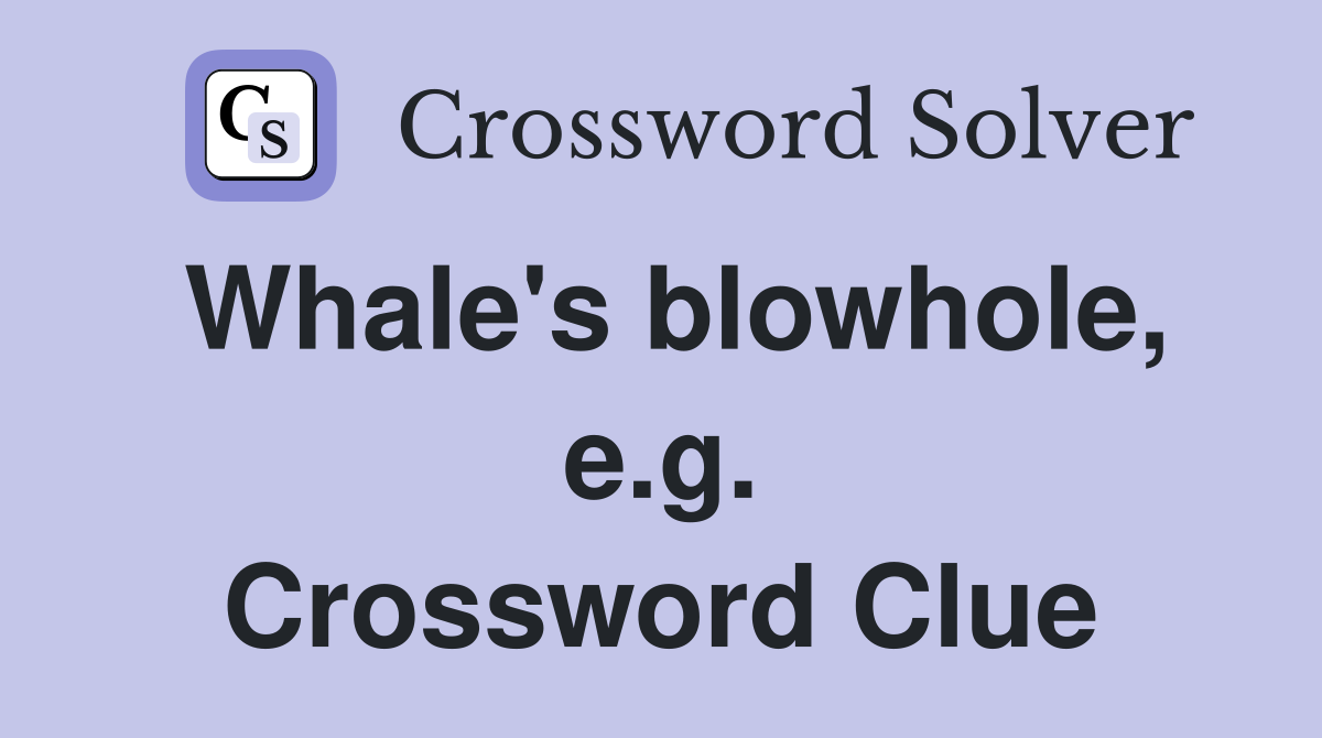 Whale's blowhole, e.g. Crossword Clue