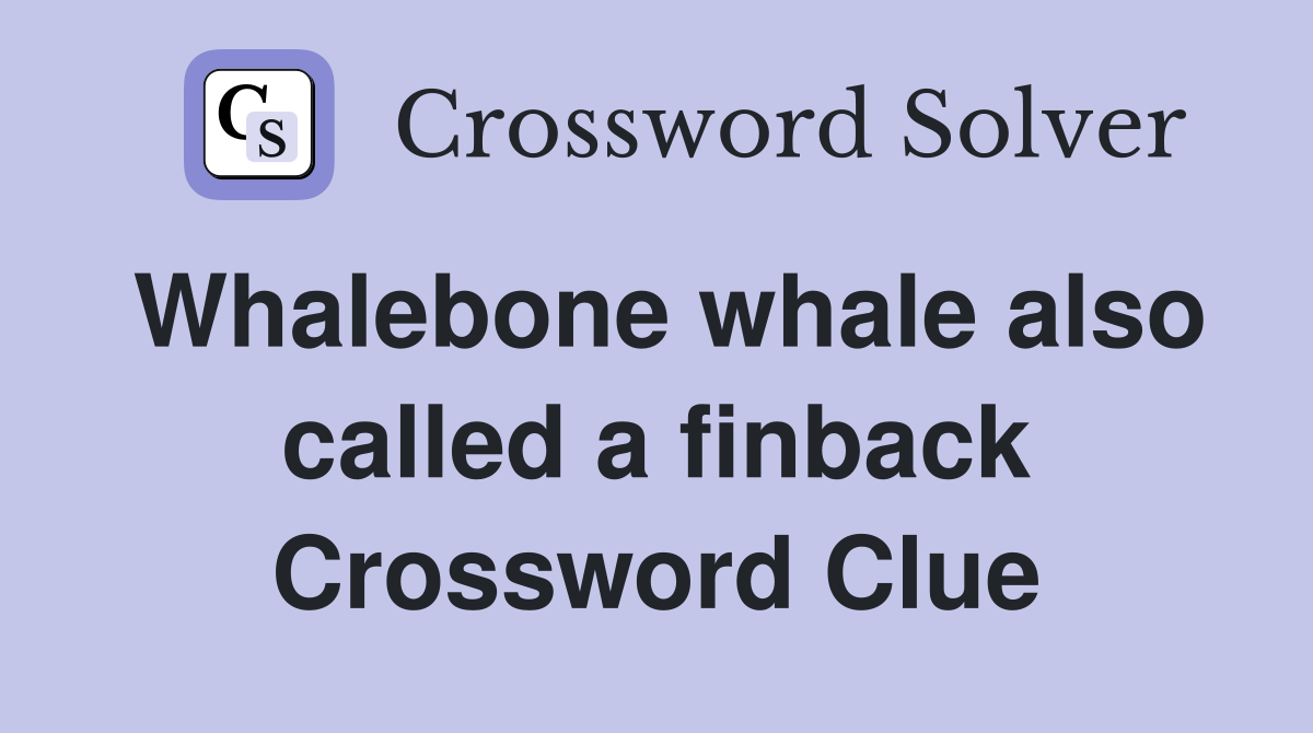Whalebone whale also called a finback Crossword Clue