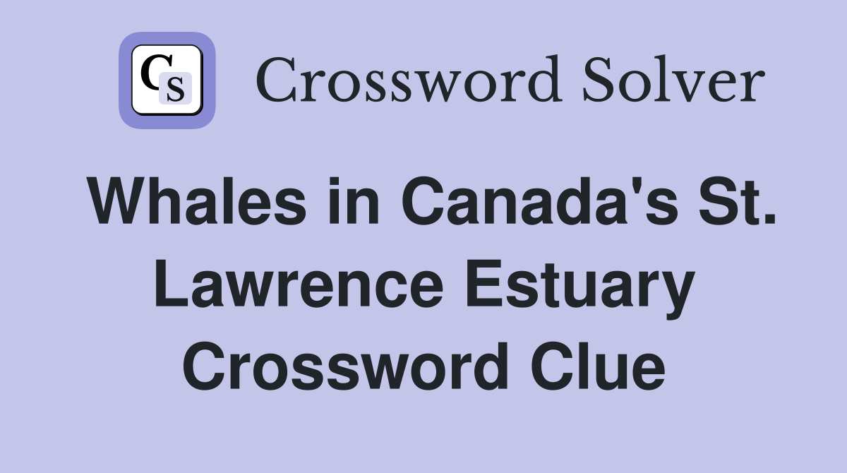 Whales in Canada's St. Lawrence Estuary Crossword Clue