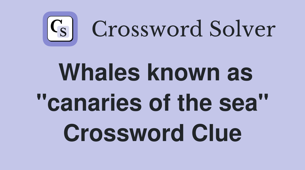 Whales known as "canaries of the sea" Crossword Clue