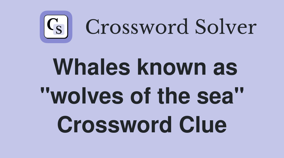 Whales known as "wolves of the sea" Crossword Clue