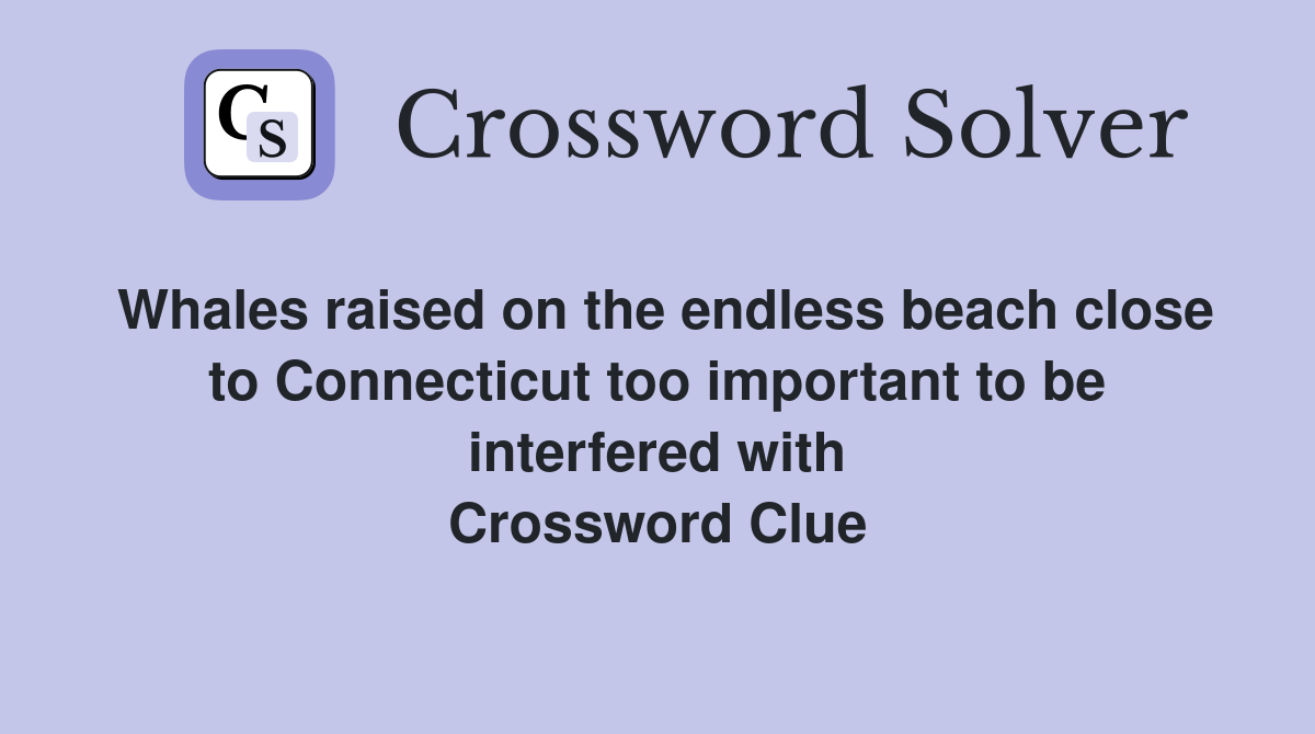 Whales raised on the endless beach close to Connecticut too important to be interfered with Crossword Clue