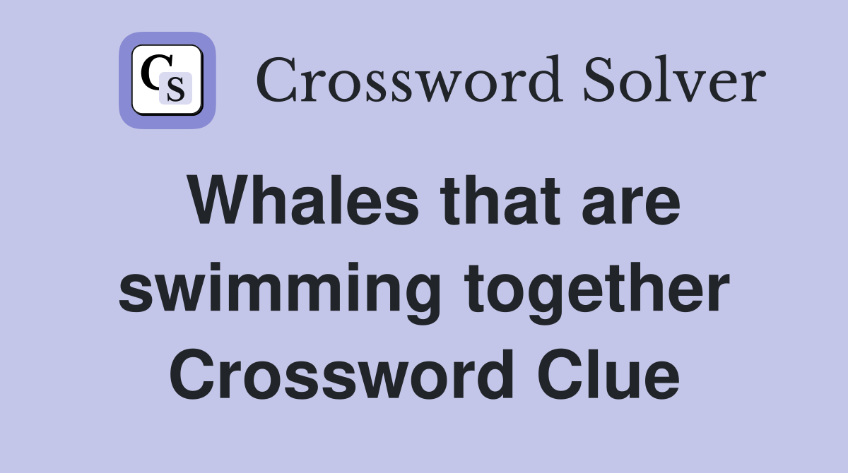 Whales that are swimming together Crossword Clue