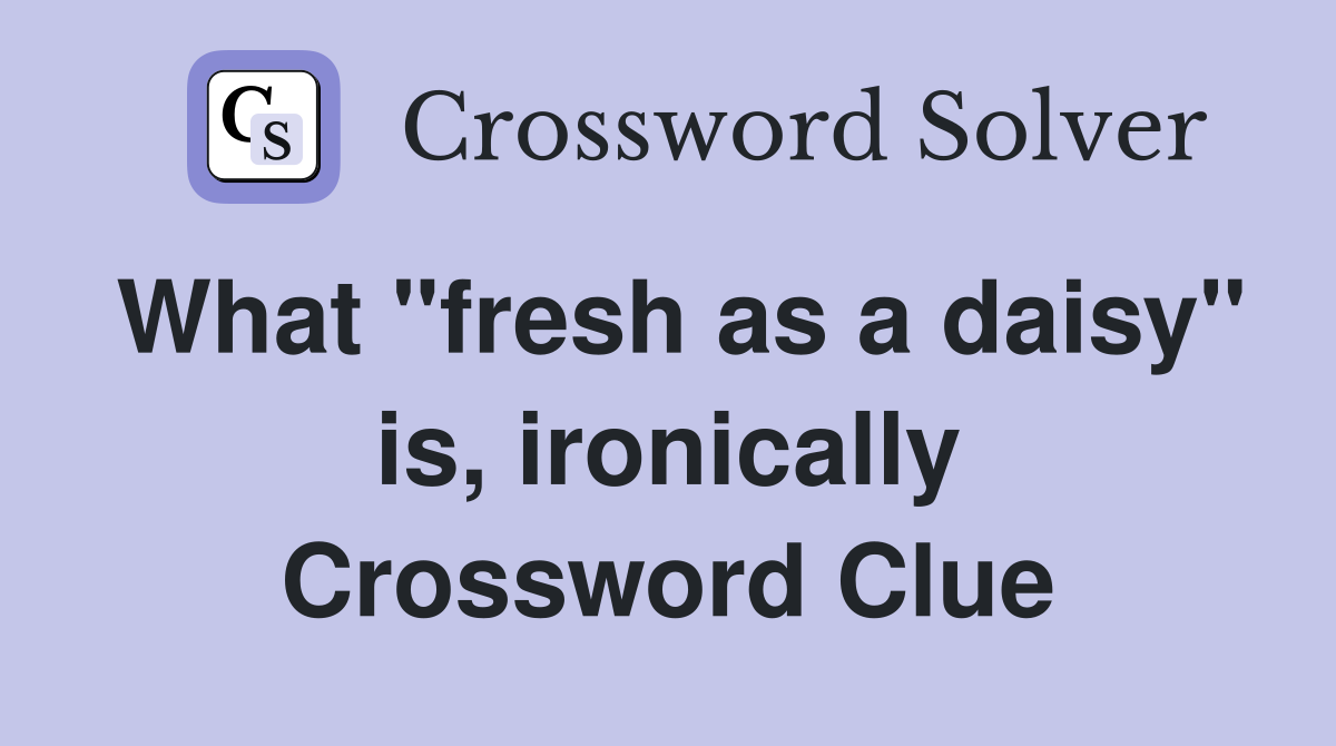 What "fresh as a daisy" is, ironically Crossword Clue