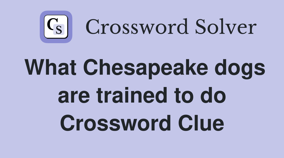 What Chesapeake dogs are trained to do Crossword Clue