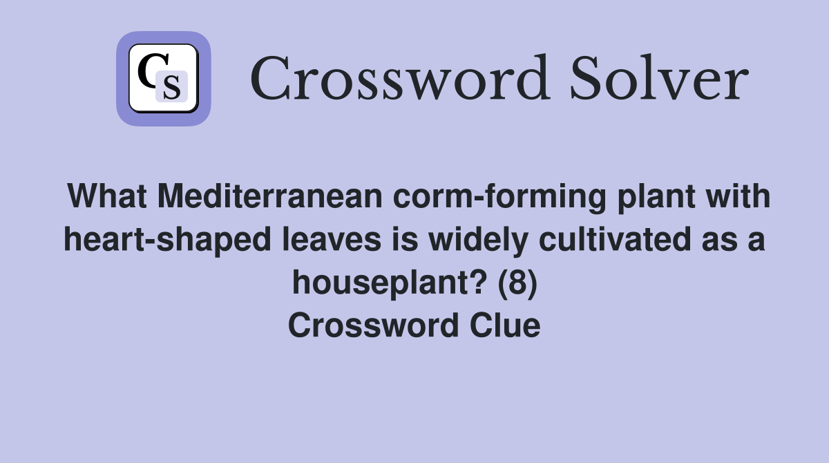 What Mediterranean corm-forming plant with heart-shaped leaves is widely cultivated as a houseplant? (8) Crossword Clue