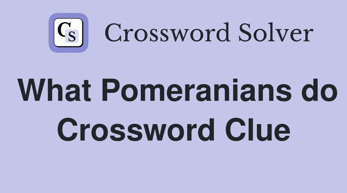 What Pomeranians do Crossword Clue