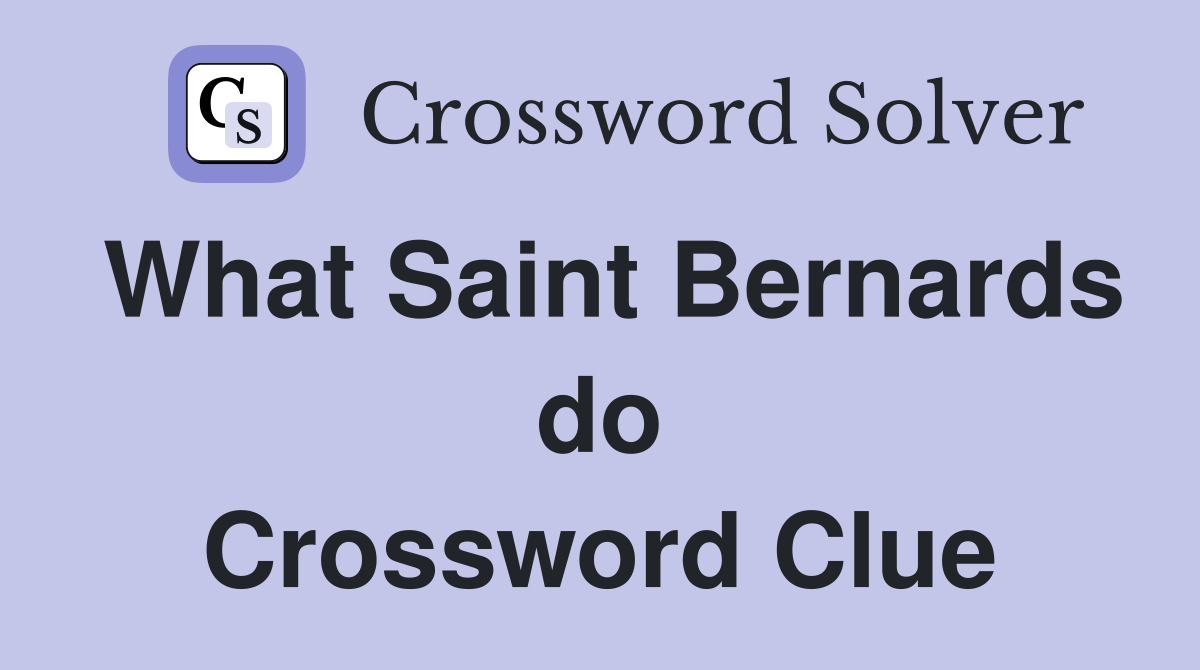 What Saint Bernards do Crossword Clue