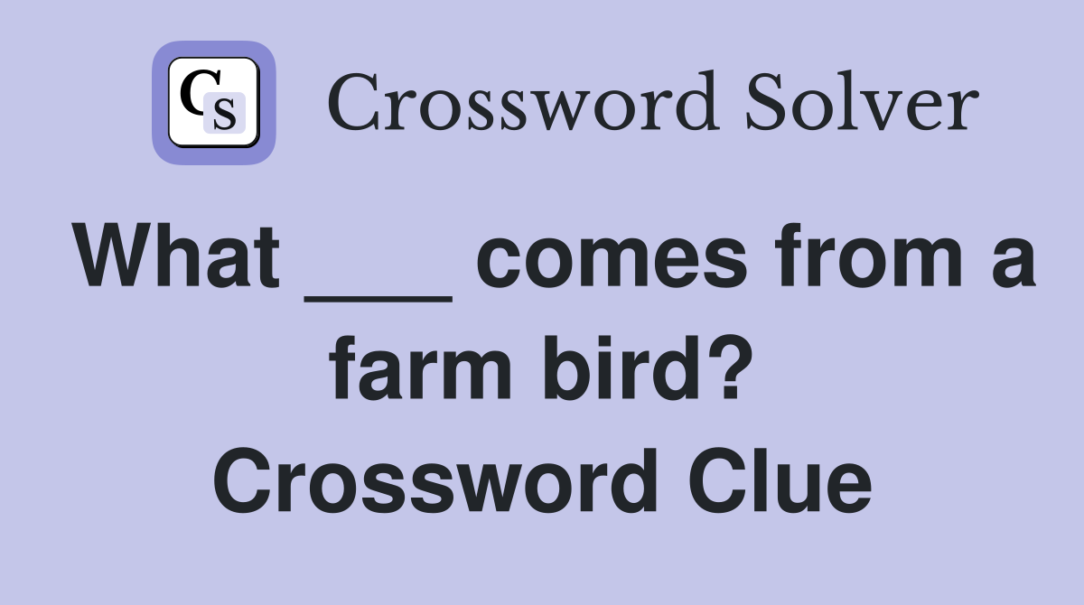What ___ comes from a farm bird? Crossword Clue