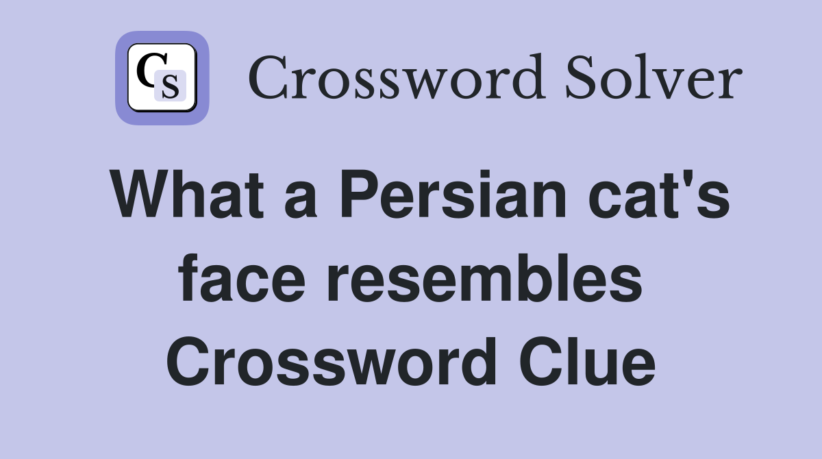 What a Persian cat's face resembles Crossword Clue
