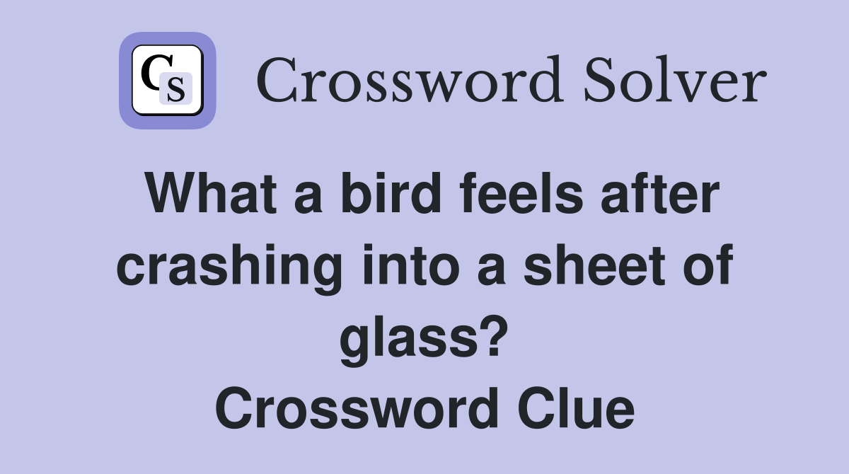 What a bird feels after crashing into a sheet of glass? Crossword Clue