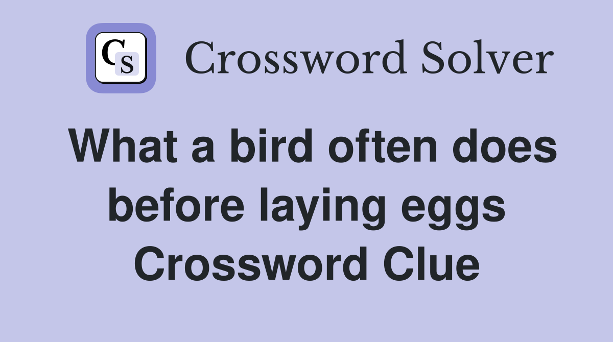 What a bird often does before laying eggs Crossword Clue
