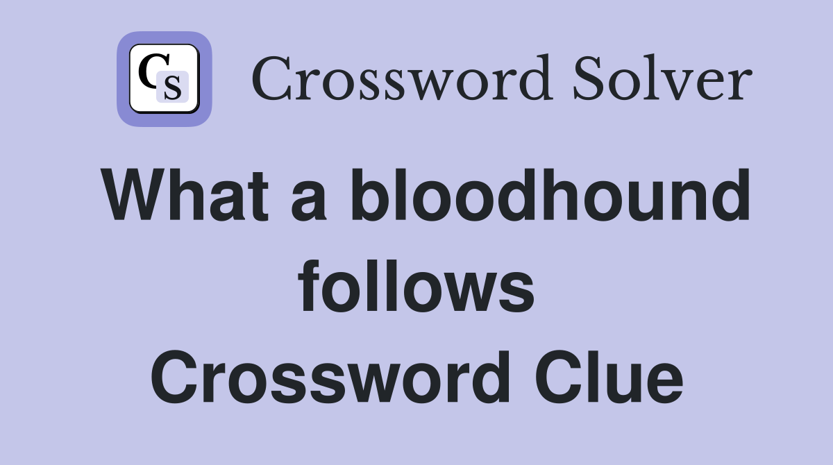 What a bloodhound follows Crossword Clue