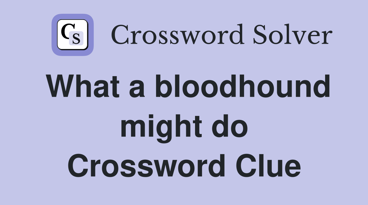 What a bloodhound might do Crossword Clue