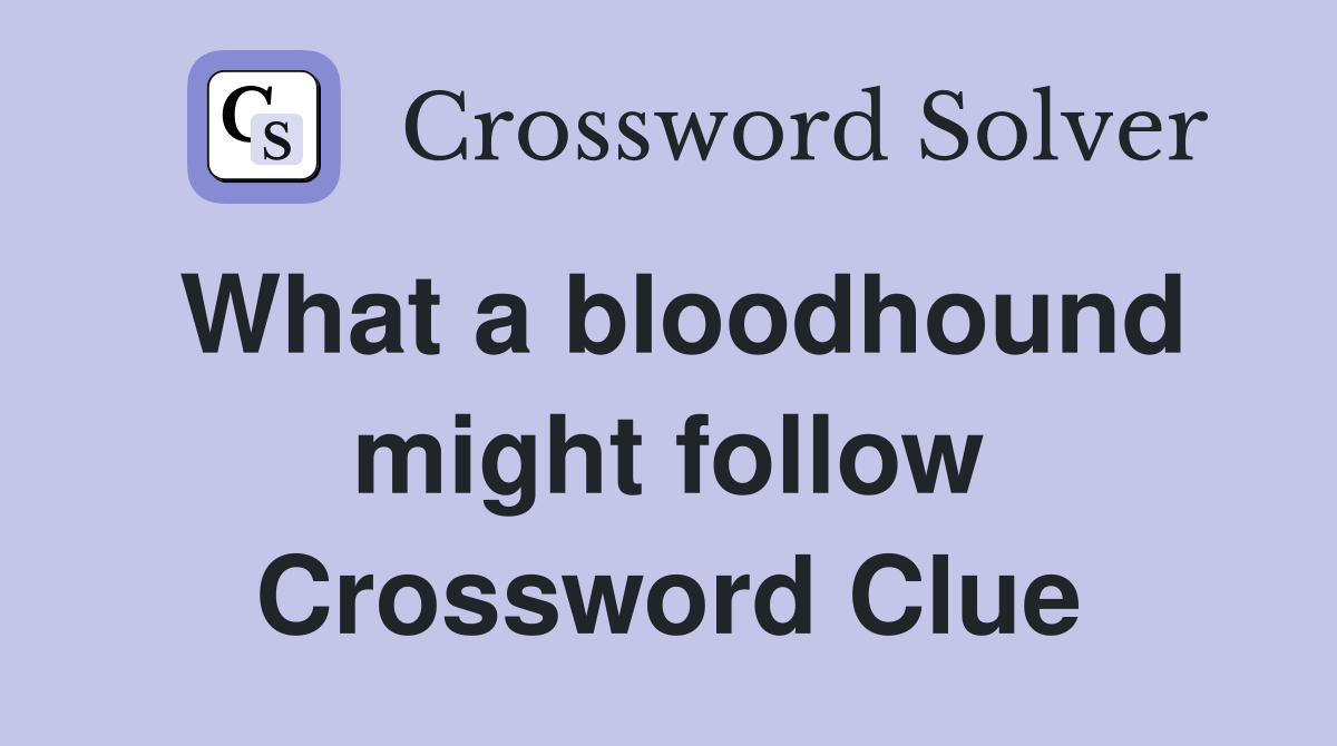 What a bloodhound might follow Crossword Clue