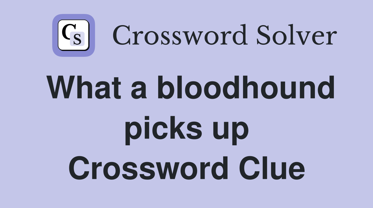 What a bloodhound picks up Crossword Clue