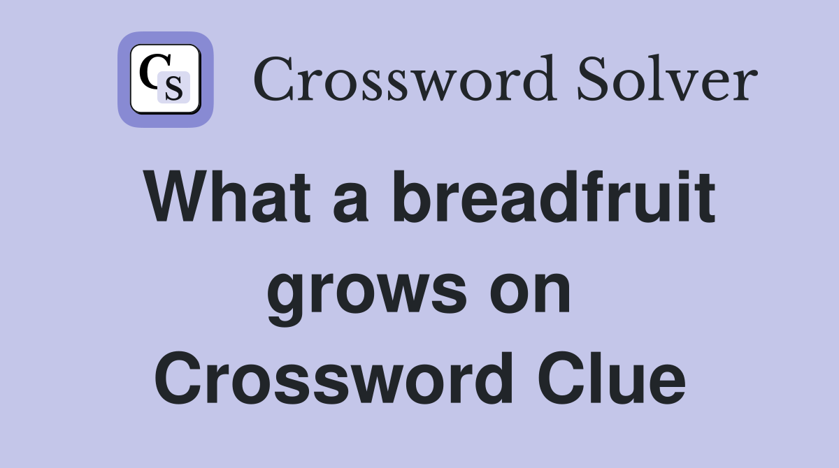 What a breadfruit grows on Crossword Clue