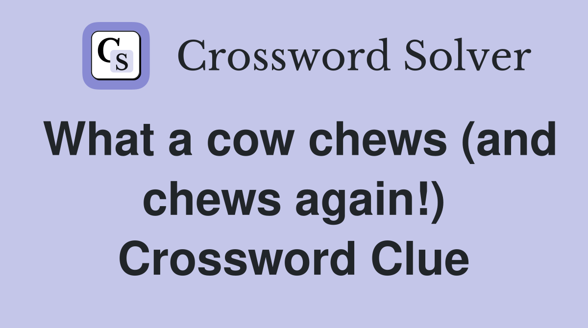 What a cow chews (and chews again!) Crossword Clue