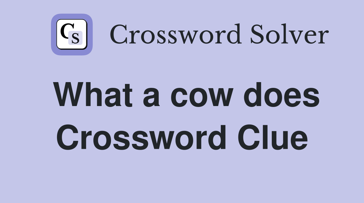 What a cow does Crossword Clue