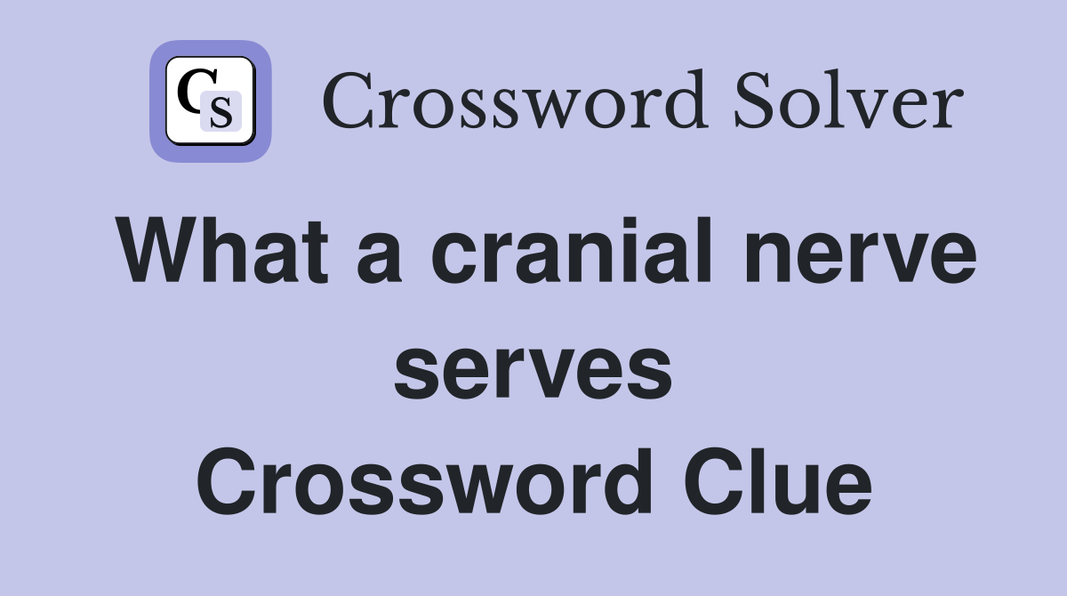 What a cranial nerve serves Crossword Clue