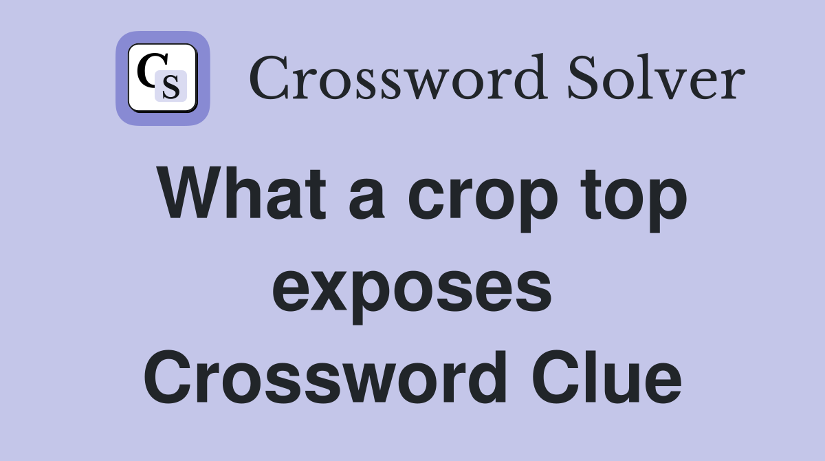 What a crop top exposes Crossword Clue