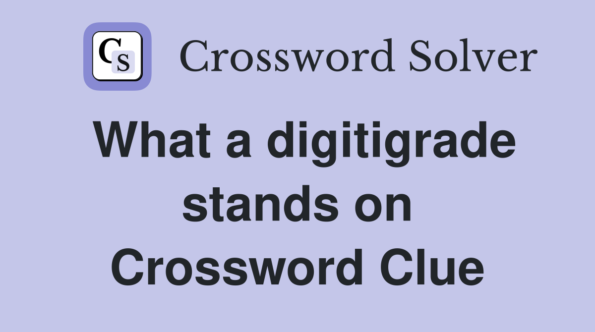What a digitigrade stands on Crossword Clue