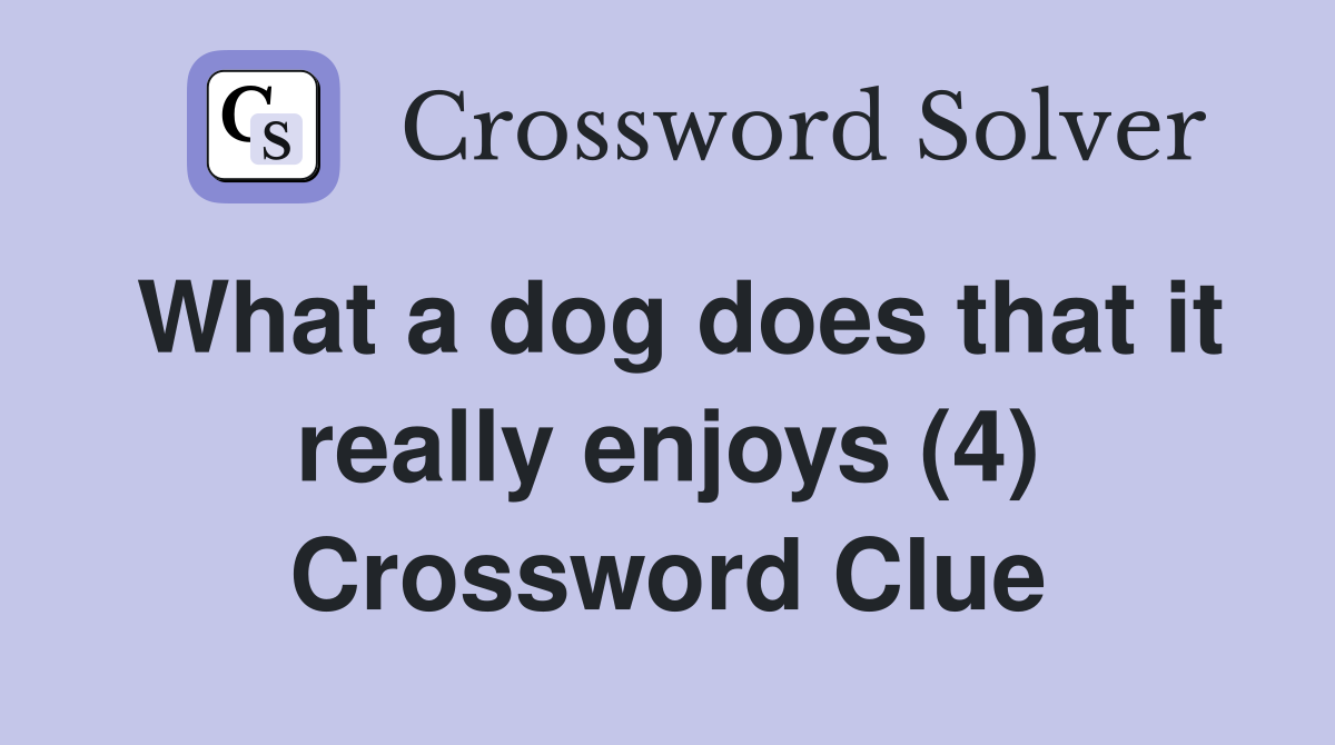 What a dog does that it really enjoys (4) Crossword Clue