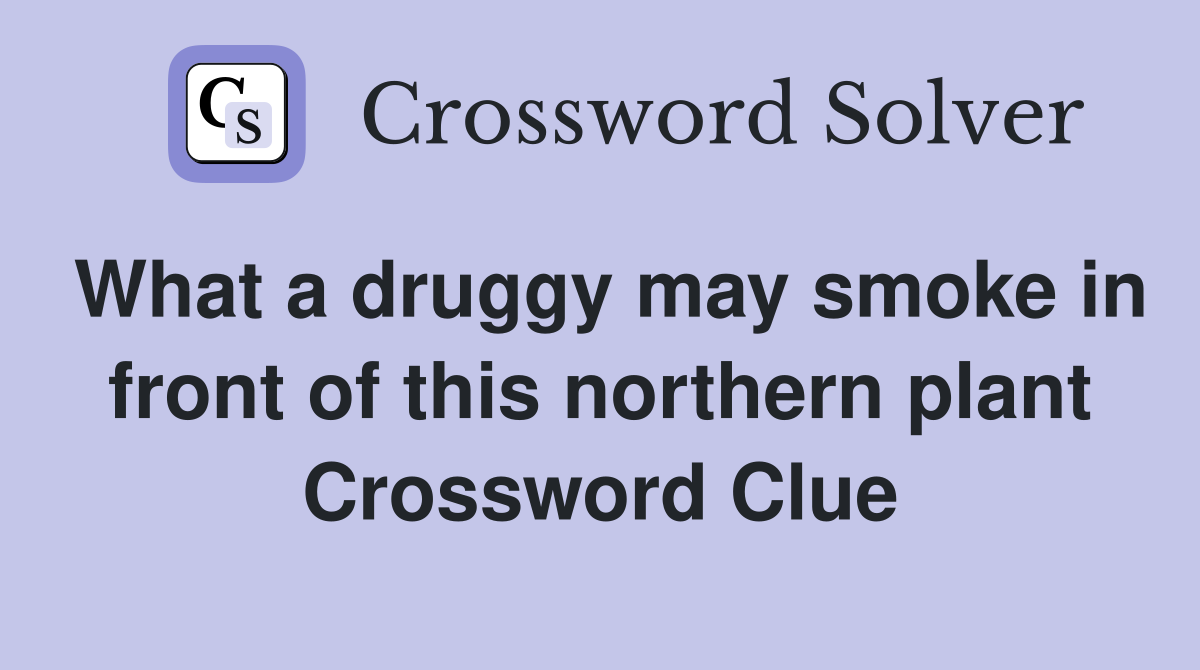 What a druggy may smoke in front of this northern plant Crossword Clue
