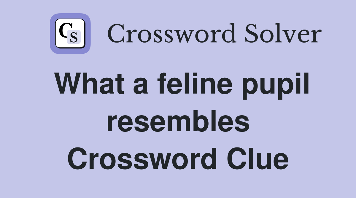What a feline pupil resembles Crossword Clue