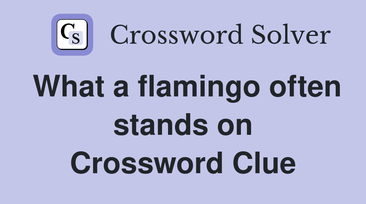 What a flamingo often stands on Crossword Clue