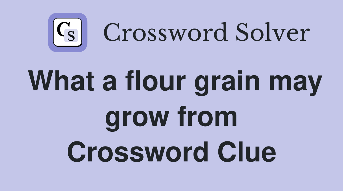 What a flour grain may grow from Crossword Clue