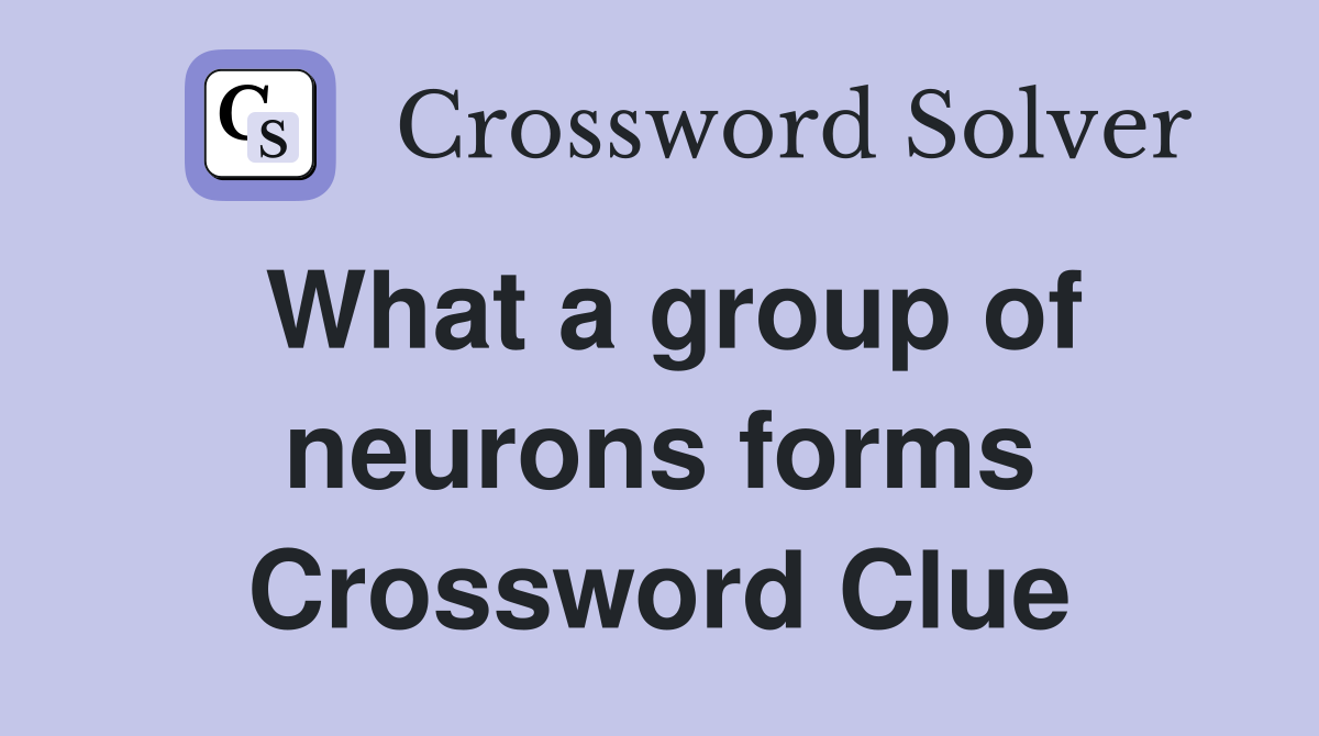 What a group of neurons forms Crossword Clue